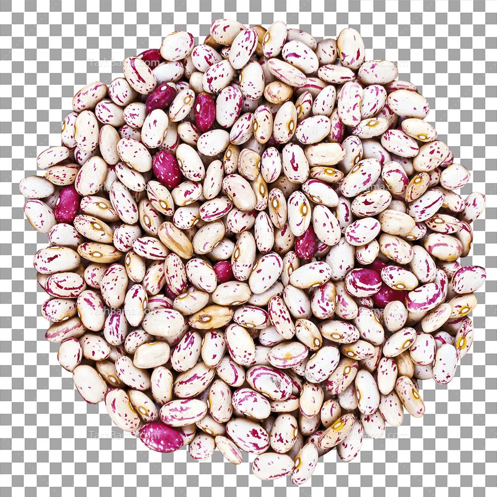 تصویر 3 از فروش لوبیا چیتی با کیفیت